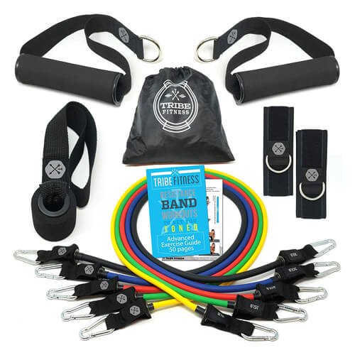 TRIBE PREMIUM Resistance Bands Set for Exercise